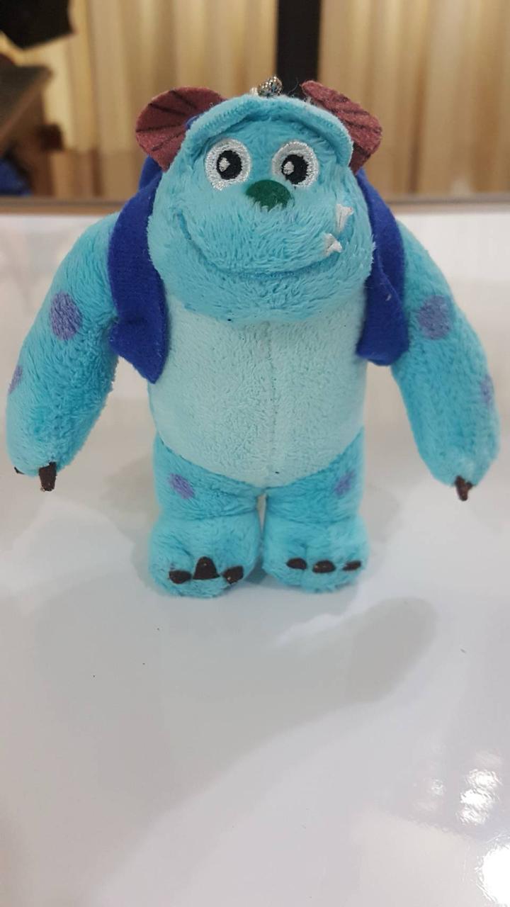 (圖片是上課時他用來對焦的毛怪)